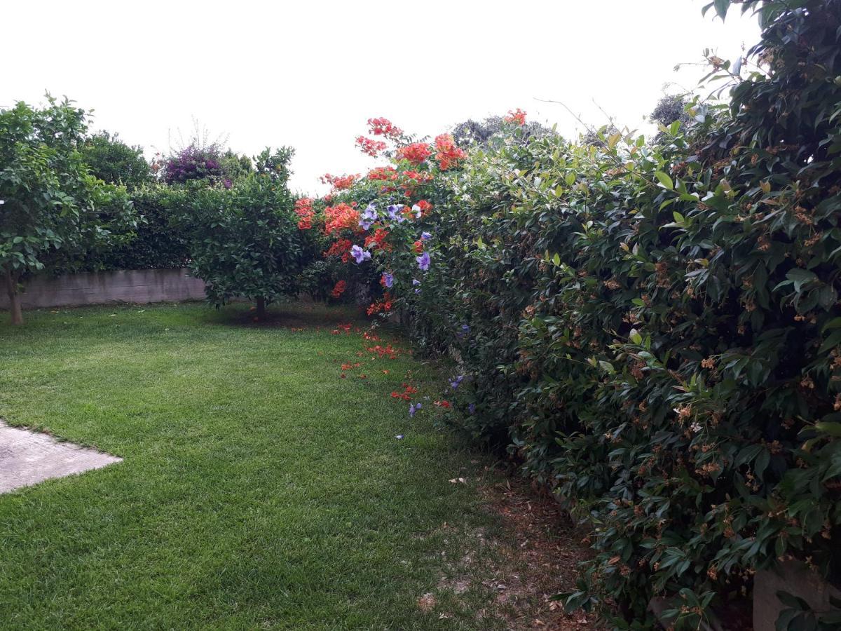 Nicopolis Villa Βράχος Εξωτερικό φωτογραφία