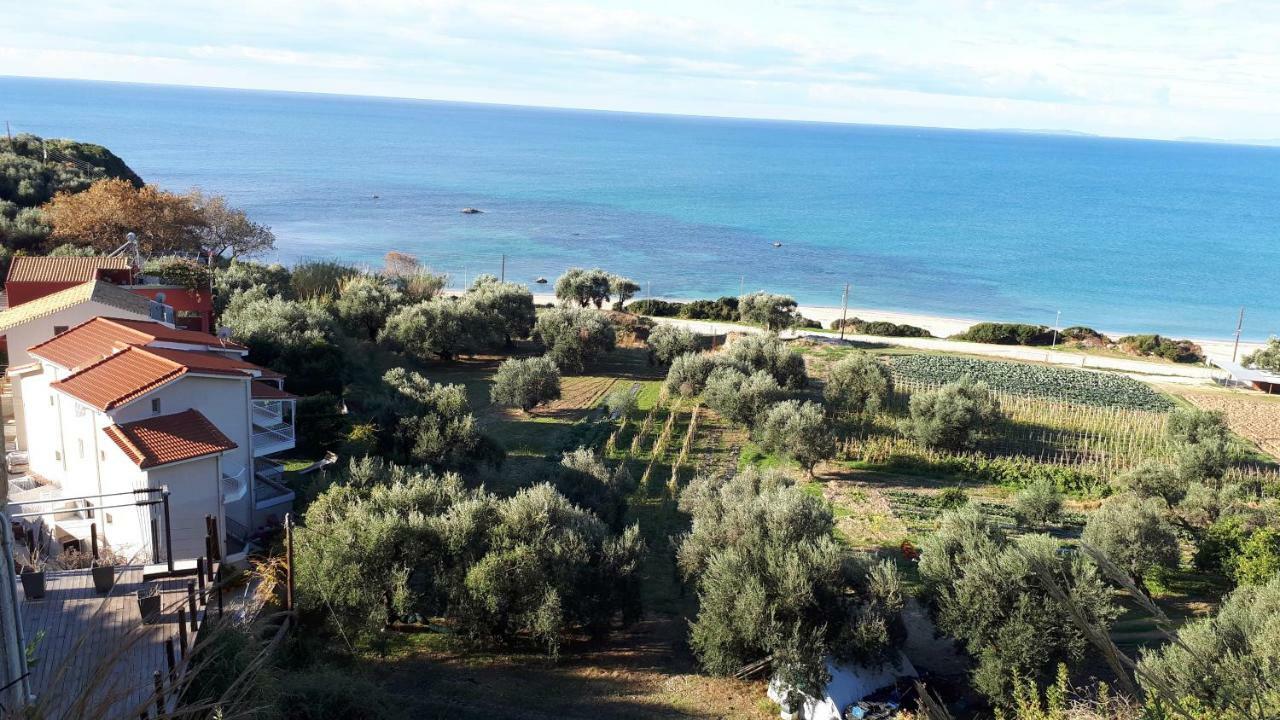 Nicopolis Villa Βράχος Εξωτερικό φωτογραφία